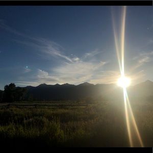 Meet your Posher, Alexandra